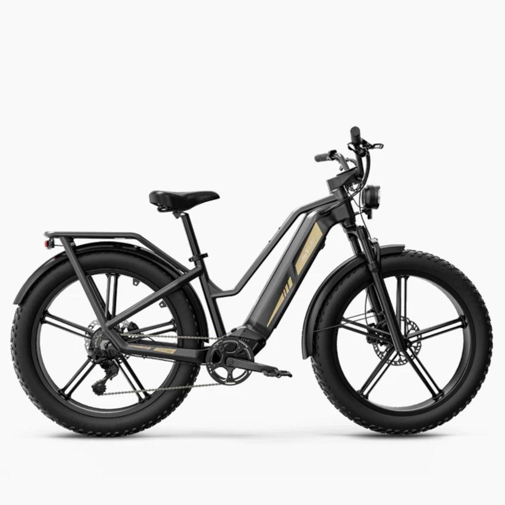 Second life fiido titan 140km 200kg laadvermogen elektrische fiets